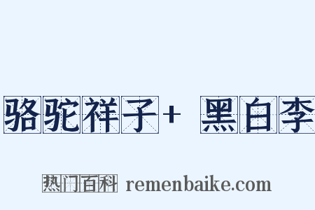 骆驼祥子+黑白李是什么意思的图片